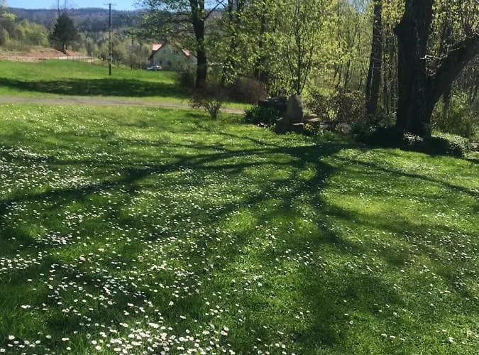 Nad Potokiem Wapienne